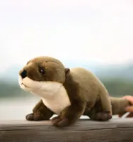 Simulation Animal Otter Lutra LUTRA PLUSH TOY TOY WAT DOG Water Animals Animaux pour enfants Gift Teaching Accesstes 46cm DY100858522987