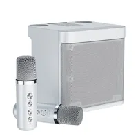 YS-203 TWS Kablosuz Hoparlörler Ses Çift Mikrofon Karaoke Hoparlör Mikrofon Entegre Makine Çok Mod Anahtarlama Desteği TF Kart Hoparlör