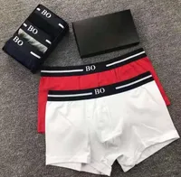 3st Mens Underwear Underpants Boxer Organic Cotton Shorts Modal Sexiga gay manliga boxare andningsbara nya mesh man underkläder asiatisk storlek m-xxl
