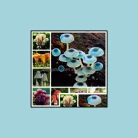 Sonstige Gartenbedarf 100pcs/Bag Samen Pilz Succlent Bonsai essbares Pflanzengesundheit Gemüse für Happy Farm köstlicher leckerer Tropfen d Dhiqj