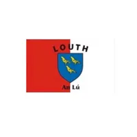 Louth Flag Ireland County Banner 3x5 FT 90x150cm Double Stitching Flag Festival Party Gift 100D Polyester Indoor Outdoor Printed selli334w