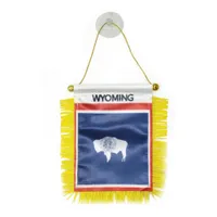 와이오밍 미니 깃발 배너 10x15 cm 미국 와이오밍 주 페넌트 홈 오피스 문 장식을위한 흡입 컵