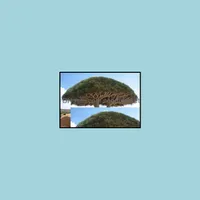 Andere tuinvoorraden 100 stks Dracaena boomzaden bonsai Canary Island Dragon Blood Hoge kiemingspercentage zuiver de lucht abso bdesybag otipw
