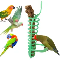 Portable Hanging Spiral Feeder Bird Chew Toys Cage Hammock Swing Tool For Parrot Pet Food Fruit Holder Climb Spela Toy Birds Supplies 20220905 D3