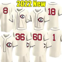 Chicago Cubs Baseball Jersey 9 Javier Baez 44 Anthony Rizzo 17 Kris Özel 2020 Beyzbol Forması 23 Ryne Sandberg Tukameng2016