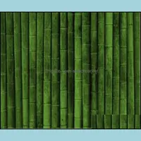 Dekoracje ogrodowe 100pcs bambusowe nasiona kwiatów Bonsai rośliny do ogrodu Oczyszczanie powietrza Pismerb Gazy upiększające i oczyszczające solif4b