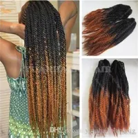 12 Packs Full Head Two Tone Marley Braids Hair 20inch Black Orange Brown Ombre Synthetic Hair Extensions Kinky Braiding 2122