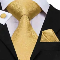 Hi-Tie Silk Men Tie Set Set Floral Yellow Gold Ties and Hantkerchiefs CufflinksセットメンズウェディングパーティースーツファッションネックタイC-3053 Y217V