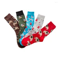 Erkek Çoraplar Erkekler Sıradan Pamuk Komik Mürettebat 5 Çift Erkekler Sokken Socken Kalsetinler Eğlenceli Mutlu Elbise Renk Avrupa Büyük Artı Boyut 42 44 46