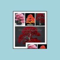 Andra tr￤dg￥rdsmaterial 50st Pink Japan Maple Bonsai Tree Plant for Home Garden Beautifying Novel Sementes Semillas de Flores Rar Soif Otkwz