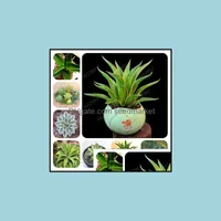 Andere tuinbenodigdheden 100 stcs zaden gemengde aloë bonsai agave succent cactus planten gepot american for home tuin decorat decorat soif otmqv