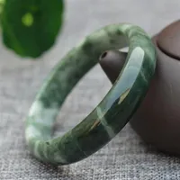 Déposez moins cher Green Guizhou Jades Bracelets Round Bangles Gift For Women Jades Fashion Jewelry Accessories276L