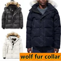Mens black puffer jacket parkas down coats outerwear high-end hooded windproof waterproof padded thicken coat cap outdoor jackets warm durable jacket arctic region
