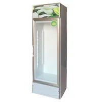 Straight cold display cabinet Freezers Commercial Restaurant Keep fresh Drinks cabinet