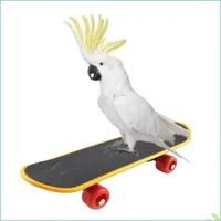 Andra fågelförsörjningar Pet Bird Toys Parrot Intelligence Mini Skateboard Budgies Parakeet Stand Perch Toy Education Training Accessori Dhwft