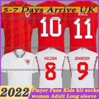 2022 Wales Soccer Jerseys Bale Wilson Allen Mens World World Cup Player Fan Edition Rodon Vokes Futebol camisa de futebol curta Manga adulta