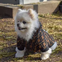 2022 أزياء الكلب مصمم ملابس الكلب شتاء سترة أليف دافئة للحيوان
