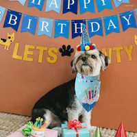Party Decoration Dog Birthday Set Hat Sided Saliv Handduk HappyBirthday Lets Pawty Banner f￶r Pet Puppy
