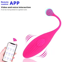 Seks Oyuncak Masaj Vibrator Bluetooths Dildo Kadınlar için Kablosuz Uygulama Uzaktan Kumanda Titreşimli Yumurta Wifi Panties s Çift