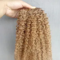 Brasilianische Jungfrau Remy Kinky Curly Hair Schuss menschliche Erweiterungen Blonde 270# Farbe 100g Ein B￼ndel WEAVES255C
