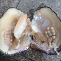 2018 Party Fun Freshwater Pearls Shells Facuum Packaging Real Natural Pearl Oysters Big Monster Oysters Gift BP0112310
