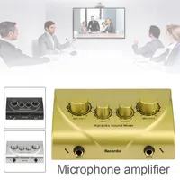 Mini Power Amplifier Dual Microphone Jack Echo Tone Volume Adjustment Power Audio Cable Mini Subwoofer Stereo Bass Audio Player