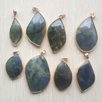 Pendant Necklaces 2022 Good Quarlity Gold Side Natural Spectrolite Assorted Leaf Charms Pendants For Jewelry Making 8pcs/Lot Wholesale Free