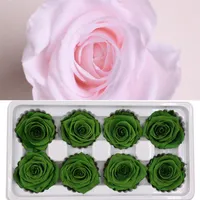 Yo Cho 8pcs المحفوظة رؤوس الورود الأبدية في صندوق عالي الجودة جافة الطبيعية
