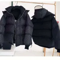2022 autumn and winter down jacket coat high quality men and women with the same style pin embroidery double-sided change jackets Hooded