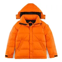 New Womens Men's Down Jacket Coats Winter Thicken Keep Warm Removable Outdoor Casual Ski Downs Feather Unisex Outerwear Hooded Cold Protection Top Quality Big size