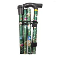 Polonais de randonnée Randonnée extérieure florale pour les aînés Pole Mobilité Aide de canne Stick Walking Stick Rollable Radiable Pliant portable quotidiennement