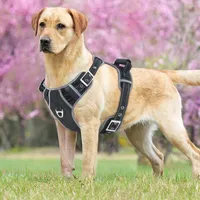 Dog Collars Strong Pet Harness For Small Large Dogs Reflective Vest Training Accessories Pitbulls Chihuahua Supplies 35