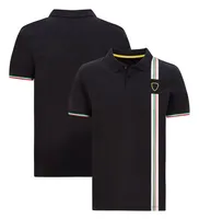 F1 Team Lapel Polo Shirts Formula 1 Driver T-shirt Shirts Short Short Auto Fans Auto Summer Maglie da uomo con magliette oversize traspirabili