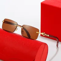 Solglas￶gon Ray Ban Womens Carti Glasses Designer Eyeglasses Frameless Fashion Brand Blue Red Pink Lens Gold Silver Wood Ben Solglas￶gon