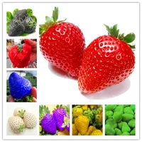 100 Stcs seltene Erdbeerpflanzen Riesen Erdbeer Bio -Obst Flores Gemüse Nicht GVO Bonsai Pot Home Garden Plant2494