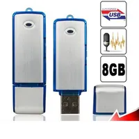 2 в 1 USB -диск Digital Voice Recorder 4GB 8GB Dictaphone Pen USB Flash Drive Audio Recorder в розничной пакете Drop2746