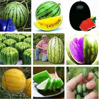 12 tipos de semillas raras de sandía china pueden elegir deliciosas semillas de melón de agua de fruta semillas de plantas de bonsai - 30 pcs bag232o