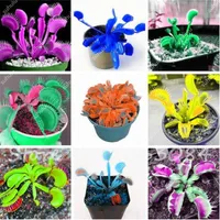 Concurso de jardim 100 PCs Bag insetívoro Venus Flytrap Seeds Misture Color Indoor DIY Plant287Z