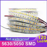 Stripes RGB LED Strip Light DC 12V AC 220V Soft Neon Sign Lamp 2835 5054 SMD Tape 600leds for Bar Cabinet Diy Christmas
