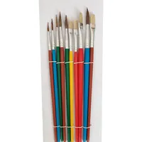 Professionele kunstenaar Paint Brush Set van 10 met opslagcase omvat ronde en platte kunstborstels met varkensponyand