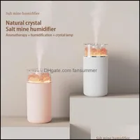 Modules d'automatisation intelligente modes de mation intelligents Humidificateur d'air ￩lectrique Diffuseur ￠ huile essentielle Trasonic Mineral Salt Home Mini Fansummer Dhgcu