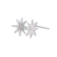 New fashion Rinestones star stud earrings anise star snow gold plated earring women gift of a woman