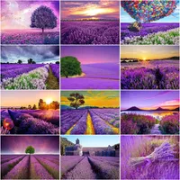 Peintures Ruopoty Acrylique Painting by Numbers for Adults with Frame Lavender Picture Paint On Tolevas Home Decors AR