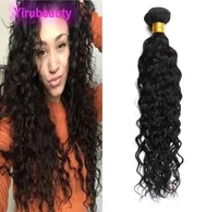Brazilian Virgin Human Hair 1 Bundle Water Wave Curly Double Wefts Unprocessed Hiar Bundles One Weave 1030inch5825013