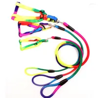 Dog Collars TECHOME High Quality Traction Rope Collar Lead Strap Small Pet Leash Training Nylon Adjustable Rainbow Harness
