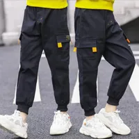 New children's clothing boys autumn and winter trousers casual pants in the big sports plus trousers2193
