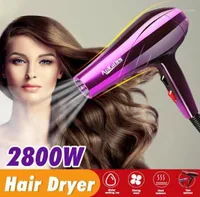 Professional Electric Hair Dryer Salon Household Hairdressing Blow Cold Wind AC Motor Detachable Air Inlet17431194