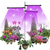 Grow Lights LED Light USB Full Spectrum Plant Growing Lamp For Indoor Plants Seedling 9 Level Dimmable Auto On Off Timing 3 12Hrs