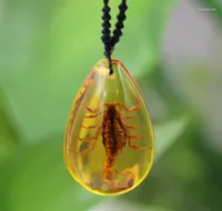 Pendant Necklaces The Good Scorpion Necklace Really Creative Man Insect Specimens Decorations Gifts For Children
