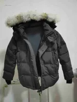 Canada Top Brand Big Wolf Fur Men's Down Parka Veste d'hiver arctique marine noir vert rouge ￠ sweats ￠ sweats d'ext￩rieur de l'oie Jeae